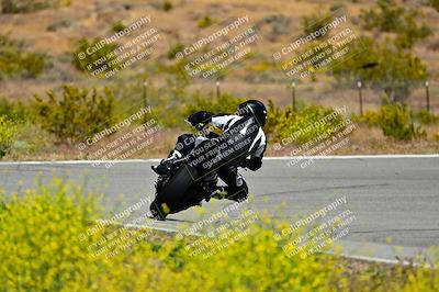 media/May-10-2024-2WTD (Fri) [[c88d7990af]]/Group C/Session 2-The Bowl/